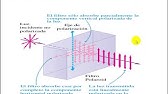 1.11 filtro polarizador -dicroismo