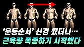 '근육량'을 가장 효과적으로 늘리는 '운동 순서'가 개발되었습니다