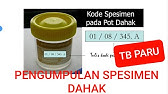 TB Paru 2: Pengumpulan Spesimen Sputum (dahak)