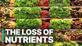 Industry Scandal: The Loss Of Nutrients | Corrupt Food Industry