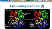 Bioquímica Clínica: Enzimologia clinica parte I