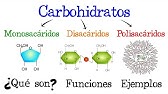 🍞 Carbohidratos 💥 ¿Qué son? 🥔 Funciones 🍟 EJEMPLOS 🥞 [Fácil y Rápido] | BIOLOGÍA |