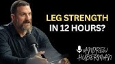 Eat THIS 1 Food & Regain Leg Strength in Just 12 Hours (Backed by Science) | Andrew Huberman