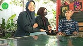 Video Wawancara Perkembangan Remaja & Dewasa