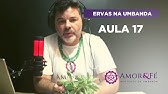 CURSO DE ERVAS NA UMBANDA | AULA 17 -  SÁLVIA