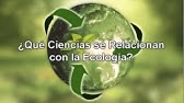 ¿Qué Ciencias se Relacionan con la Ecología? / Ecología una Ciencia Integradora