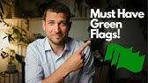 Never Date Anyone Without These Green Flags!!