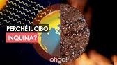 Quanto inquina il cibo che mangiamo e cosa possiamo fare per limitare il suo impatto sull'ambiente