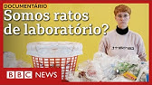 Documentário BBC: Nós, os ratos de laboratório