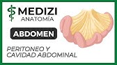 Anatomía del Abdomen - Peritoneo y Cavidad abdominal (MESOS Y EPIPLONES)