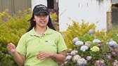 Control de calidad en la leche - La Finca de Hoy