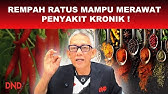 REMPAH RATUS MAMPU MERAWAT PENYAKIT KRONIK? SIAPA SUKA MAKAN PEDAS?