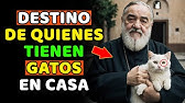 Padre Pío: Este es el DESTINO de quienes tienen GATOS en casa | ¡No te pierdas este vídeo!