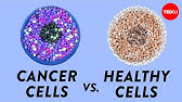 How do cancer cells behave differently from healthy ones? - George Zaidan