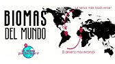 Los BIOMAS del MUNDO explicados🌎🌍 🏜️🏞️