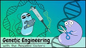 Genetic Engineering