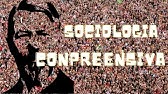 #Shorts de Sociologia: Sociologia Compreensiva de Max Weber