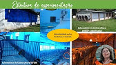 Curso: Capacitação em ética, cuidado e manejo de animais | 4.6 – Estrutura e ambiente para Suínos