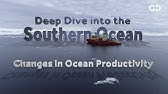 Deep Dive: Changes in Ocean Productivity