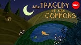 What is the tragedy of the commons? - Nicholas Amendolare