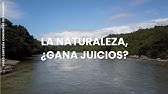 Ecuador, el único país que protege los derechos de la naturaleza en su Constitución