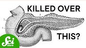 The Organ That Drove a Scientist to Kill