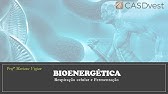Respiração celular e Fermentação