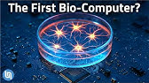 Merging Humans and AI: The Rise of Biological Computers