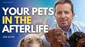 YOUR Pet Wants to Communicate with You in the Afterlife. Ghosts, Entities & Spirits w/ Rob Gutro