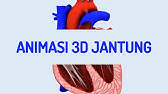 Animasi Jantung 3D - Sistem Peredaran Darah ❤🩺