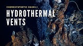 Hydrothermal Vents | Oases in the Deep Sea