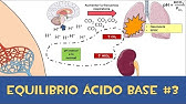 Equilibrio ácido base #3 💉 Amortiguador respiratorio y renal. Es carbaminohemoglobina.