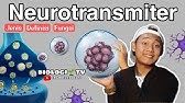 bab.sistem saraf - neurotransmiter - biologi sma kelas materi pembahsan