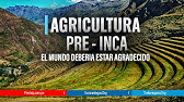 🇵🇪 Documentales "AGRICULTURA PRE INCA QUE SALVO AL MUNDO" | Machu Picchu | Perú Vip | Cusco  🇲🇽🇧🇷🇺🇸