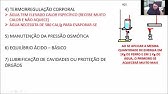 Nutrição de rão ruminantes: Funções, metabolismo e detalhes técnicos do uso da água