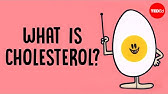 What actually causes high cholesterol? - Hei Man Chan