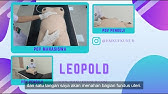 Pemeriksaan Leopold - Video OSCE | HMKU FK Unud