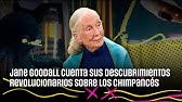 Jane Goodall y sus descubrimientos revolucionarios sobre los chimpancés | #LaRevuelta 30.04.2025