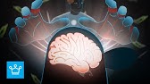 How Billionaires Brainwash You Into Making Them Richer
