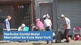 Narkoba Zombi Mulai Menyebar ke Kota New York