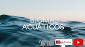 BIOMAS ACUÁTICOS