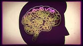 Effects of cannabis on the teenage brain NCPIC + Turning Point