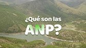 ¿Qué son las ANP o Áreas Naturales Protegidas? | #GrandezaDeMéxico