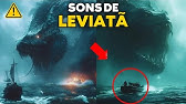 TERROR NO MAR: OS SONS DO LEVIATÃ TERRORIZAM O MUNDO!