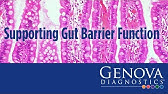 LiveGDX Webinar   Supporting Gut Barrier Function   Sept2017