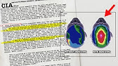 CIA full report on Brain Synchronization, Energy, Manifestation and the Holographic Universe