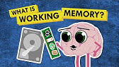 Why I Can't Remember Things -- How ADHD Affects Working Memory