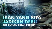 Ikan yang Kita Jadikan Debu | Dokumenter Kejahatan di Laut