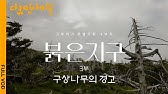 [4K FULL] 한라산 구상나무 집단 고사 현장 | KBS 다큐 인사이트 - 붉은 지구 3부 구상나무의 경고 210916 방송