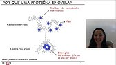 Proteínas   Parte 2